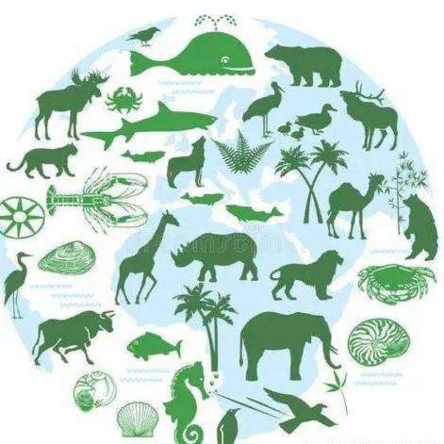 生物多樣性.jpg