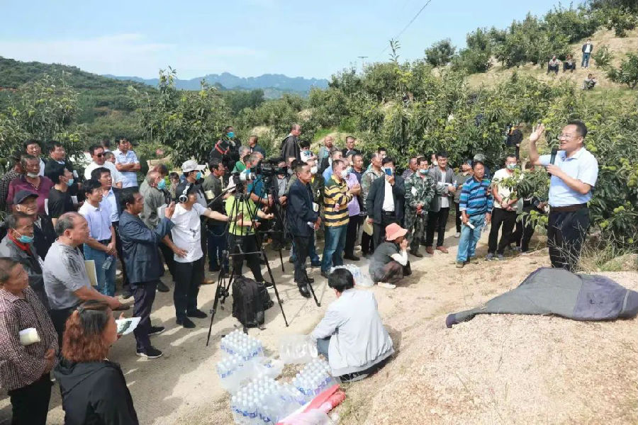 寮犱含鏀垮湪闈掗緳鍘胯倴钀ュ瓙闀囨墦铏庡簵鏉戝仛鎶?湳鍩硅