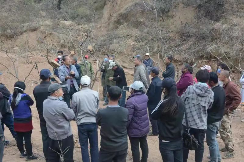 寮犱含鏀垮湪闈掗緳鍘垮共娌熶埂鍗楄儭鍝堟潙鍋氭妧鏈煿璁?