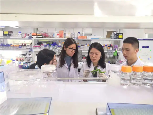 杈涚鑺籌紙鍙充簩錛夊甫棰嗗洟闃熷仛瀹為獙 鍥?闈掑勾鎶ヂ烽潚鏄ヤ笂嫻?閮