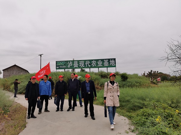 網(wǎng)傳圖1.jpg 網(wǎng)傳圖1.jpg