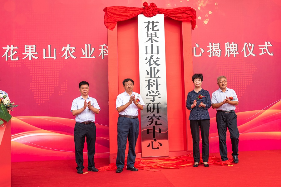 DSC_4542.jpg DSC_4542.jpg