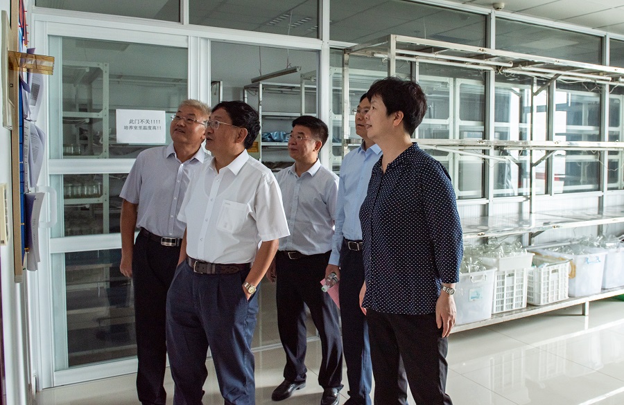 中國農(nóng)科院副院長、中國工程院院士萬建明、副市長吳海云、政協(xié)副主席徐大勇調(diào)研農(nóng)科院基地 (2).jpg 中國農(nóng)科院副院長、中國工程院院士萬建明、副市長吳海云、政協(xié)副主席徐大勇調(diào)研農(nóng)科院基地 (2).jpg