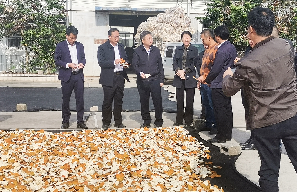 1637898666112639.jpg 調(diào)研現(xiàn)場(chǎng).jpg