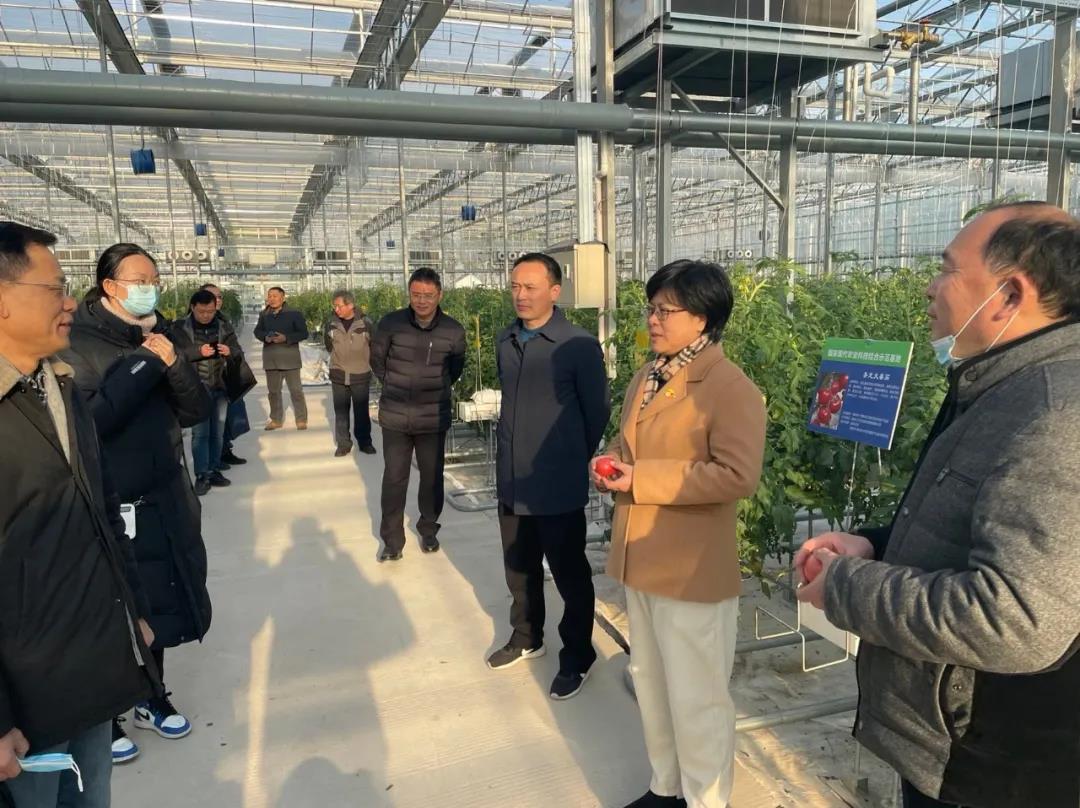 微信圖片_20220104145722.jpg 微信圖片_20220104145722.jpg