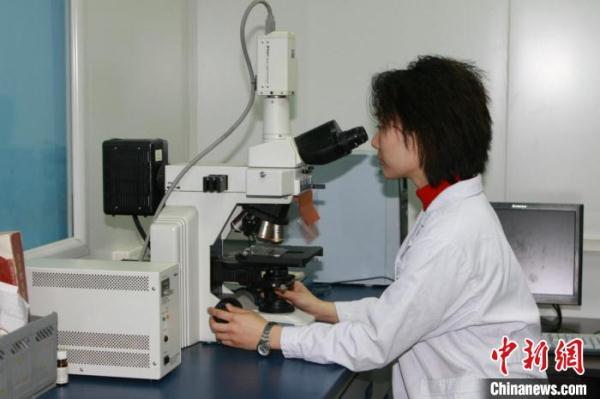 2321920901041178528.jpg 2321920901041178528.jpg