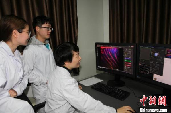 2257358035942816377.jpg 2257358035942816377.jpg