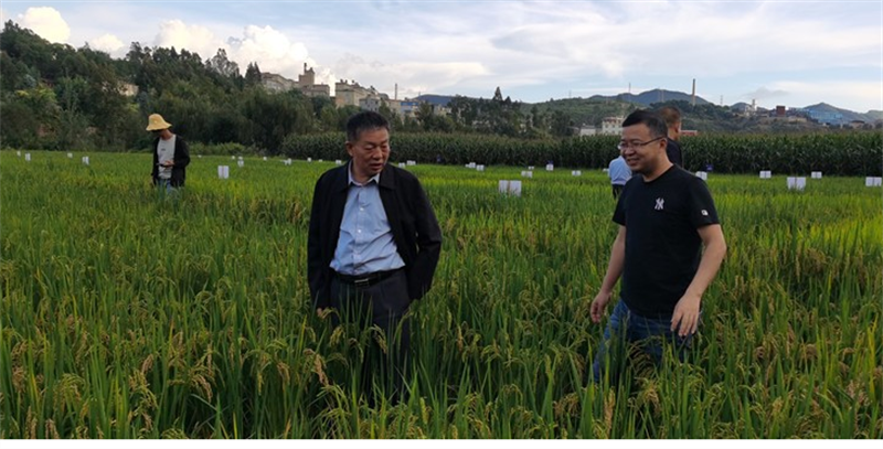 微信圖片_20220421170150.png 微信圖片_20220421170150.png