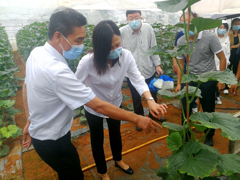 1652844718682957.jpg 銀海區(qū)人大常委會副主任楊陸(左一)、銀海區(qū)政府副區(qū)長黃志宇(右二)陪同調研。_副本.jpg