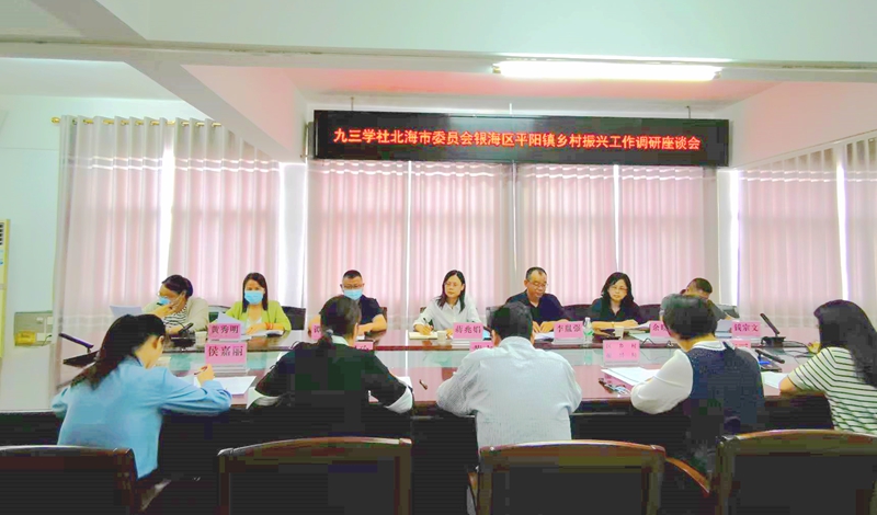 1652844728420205.jpg 在平陽鎮(zhèn)政府開展座談_副本.jpg