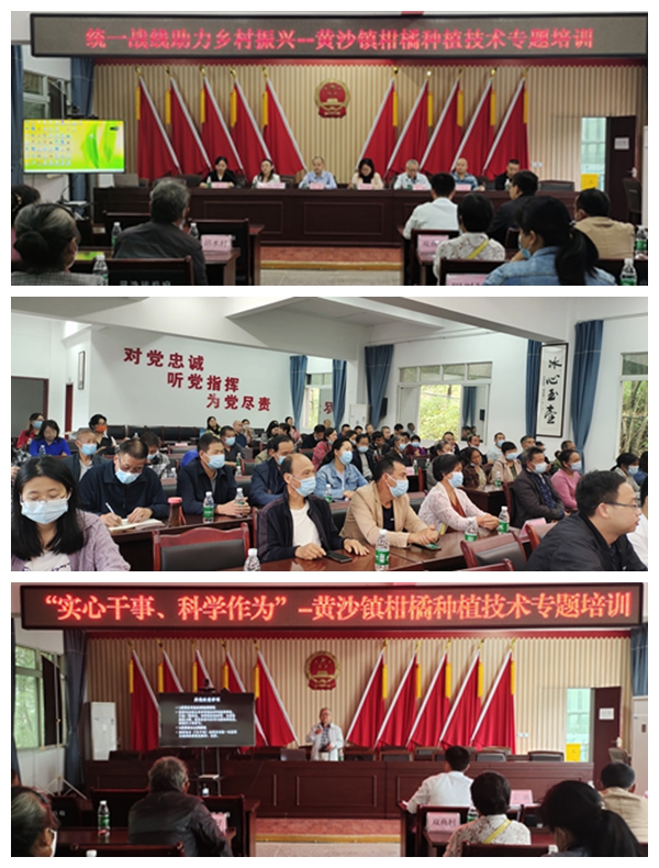 鍏夊獎(jiǎng)欖旀湳鎵嬫嫾鍥?jpg