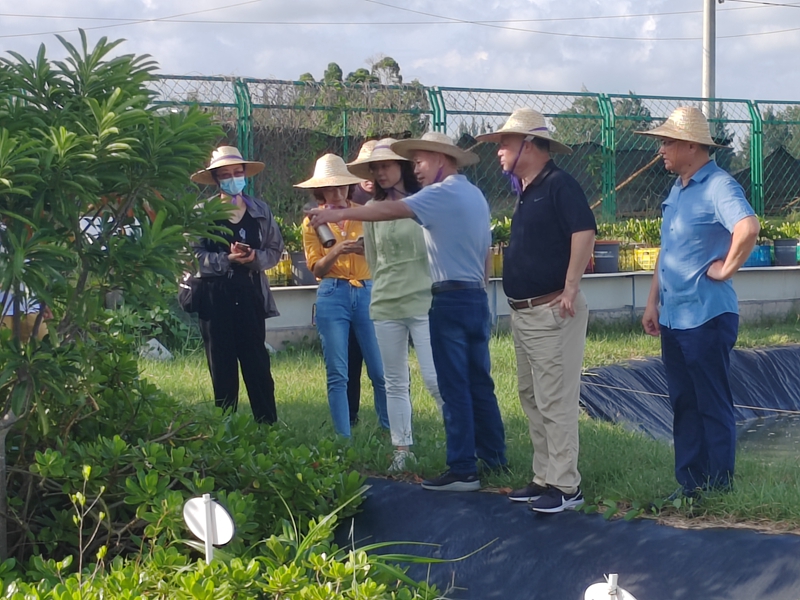 1657455619189511.jpg 20220705九三學社廣西區(qū)委、北海市委開展“藍碳與紅樹林九三科普學堂”品牌建設(shè)調(diào)研_副本.jpg