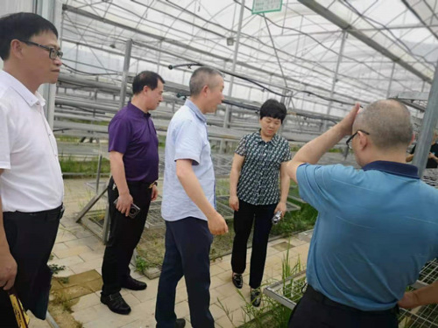 2021070100091003.jpg 2_副本.jpg