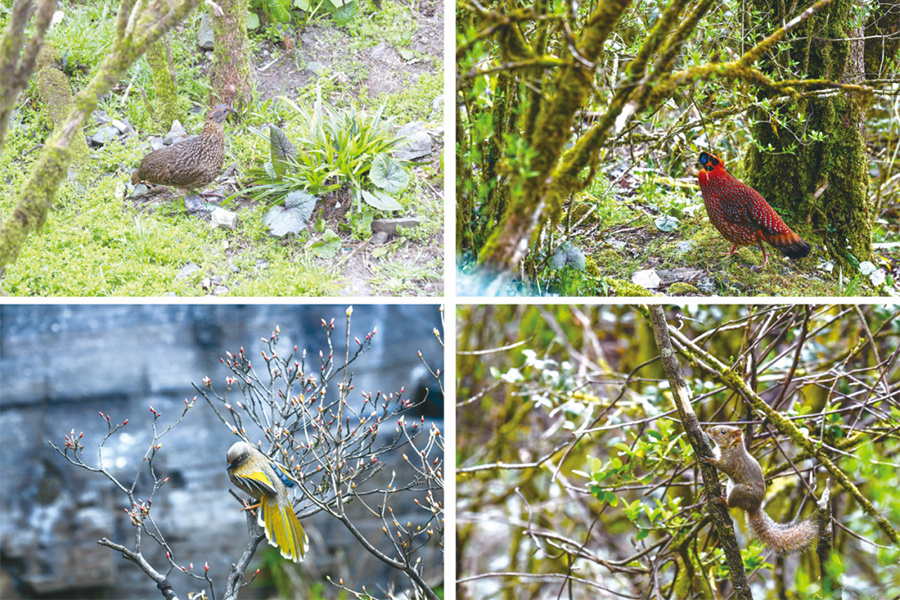 微信圖片_20221201131539 拷貝.jpg