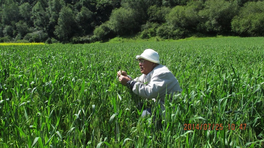 19efa647b9b438e58471c39417509cc6.jpg 19efa647b9b438e58471c39417509cc6.jpg