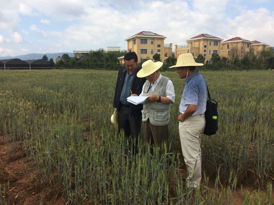 a77baa8ac4525b1fb367799aa2044be6.jpg a77baa8ac4525b1fb367799aa2044be6.jpg