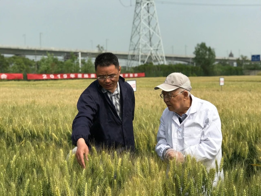 809c66057d76447cf93d26b07baa314e.jpg 809c66057d76447cf93d26b07baa314e.jpg