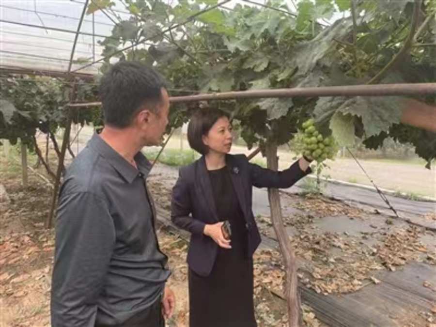 微信圖片_20230920082642.jpg 微信圖片_20230920082642.jpg