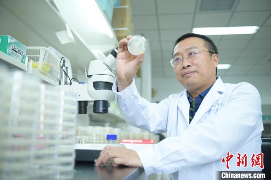 dc314a12-3936-4360-955c-4d9ed40c9cde_zsite.jpg dc314a12-3936-4360-955c-4d9ed40c9cde_zsite.jpg