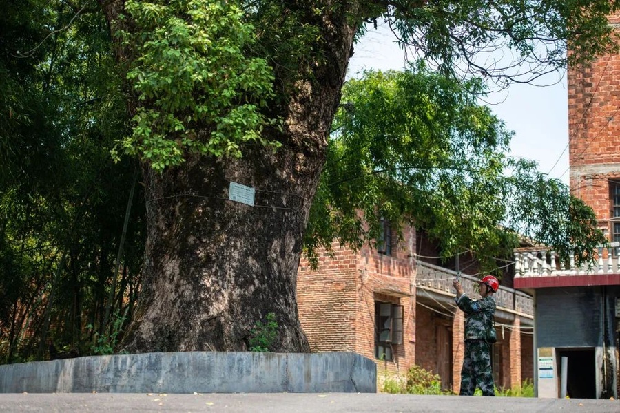 微信圖片_20240310170726.jpg 微信圖片_20240310170726.jpg