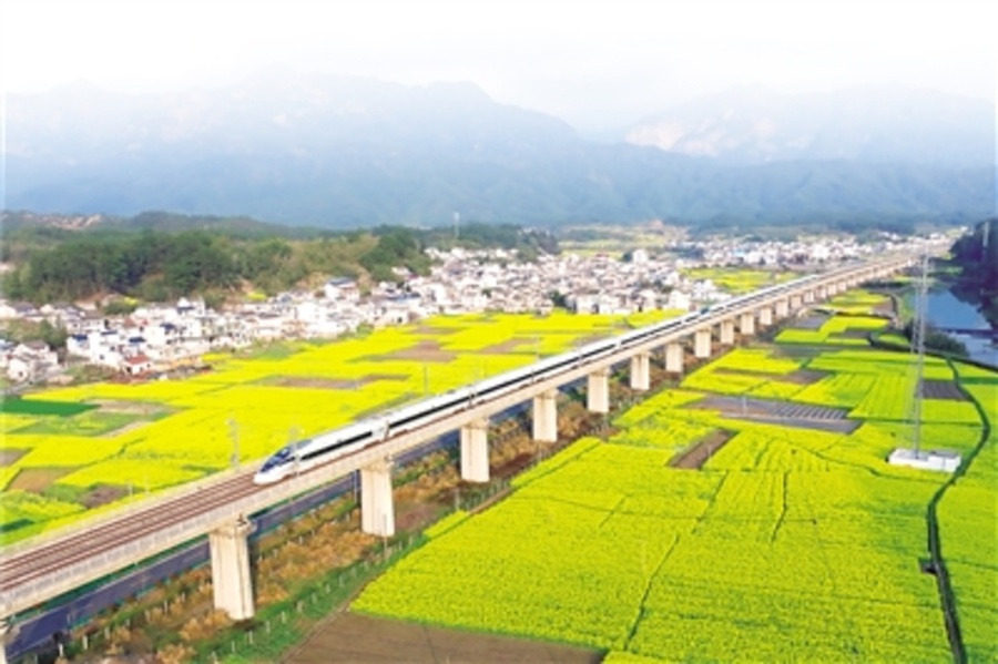 1000096521.jpg 1000096521.jpg