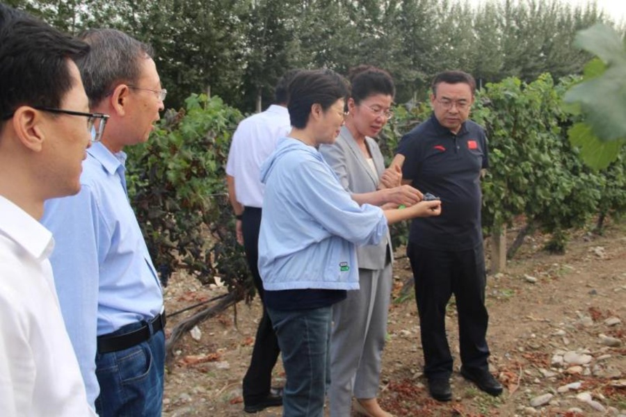 1000119554.jpg 1000119554.jpg