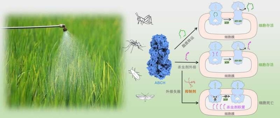 1000139998.jpg 1000139998.jpg